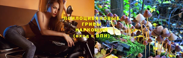 стафф Верхнеуральск
