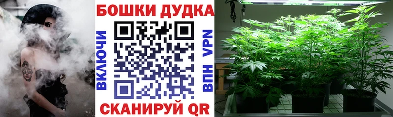 Каннабис AK-47  blacksprut как зайти  Симферополь  продажа наркотиков 